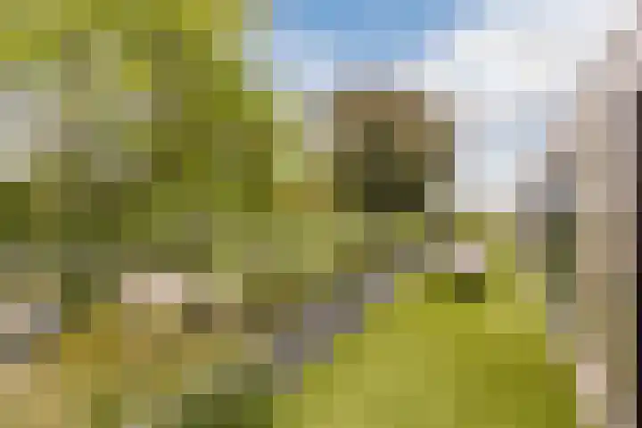 Julianalaan 29 's Gravenmoer thumbnail 54