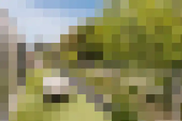 Julianalaan 29 's Gravenmoer thumbnail 55