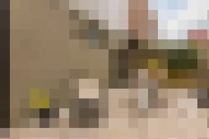 Julianalaan 29 's Gravenmoer thumbnail 60