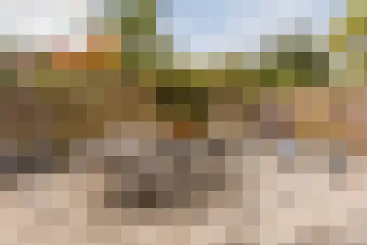 Julianalaan 29 's Gravenmoer thumbnail 64