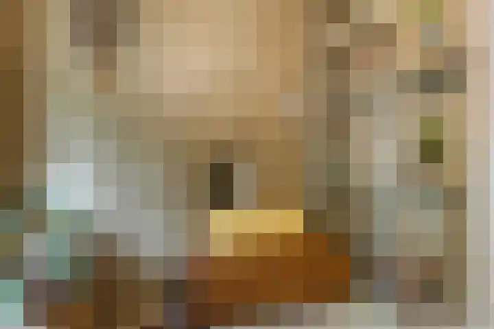Julianalaan 29 's Gravenmoer thumbnail 7