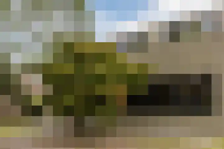 Julianalaan 29 's Gravenmoer thumbnail 72