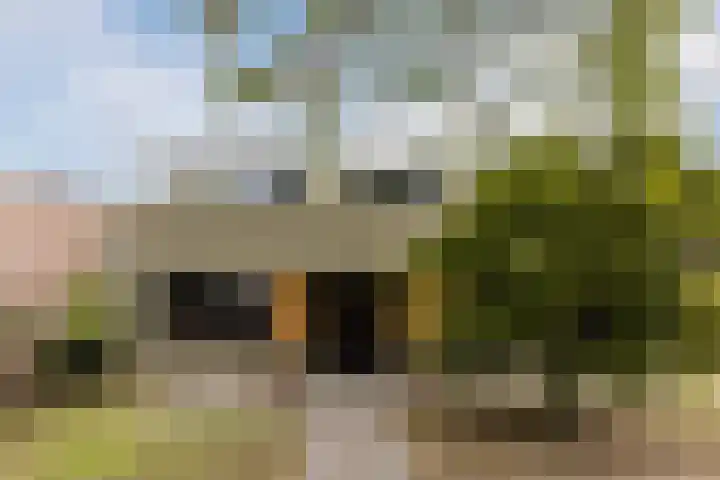 Julianalaan 29 's Gravenmoer thumbnail 73
