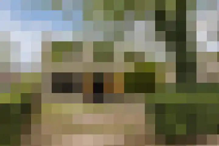 Julianalaan 29 's Gravenmoer thumbnail 74
