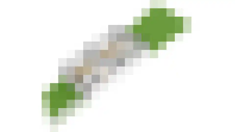 Julianalaan 291 Haarlem thumbnail 100