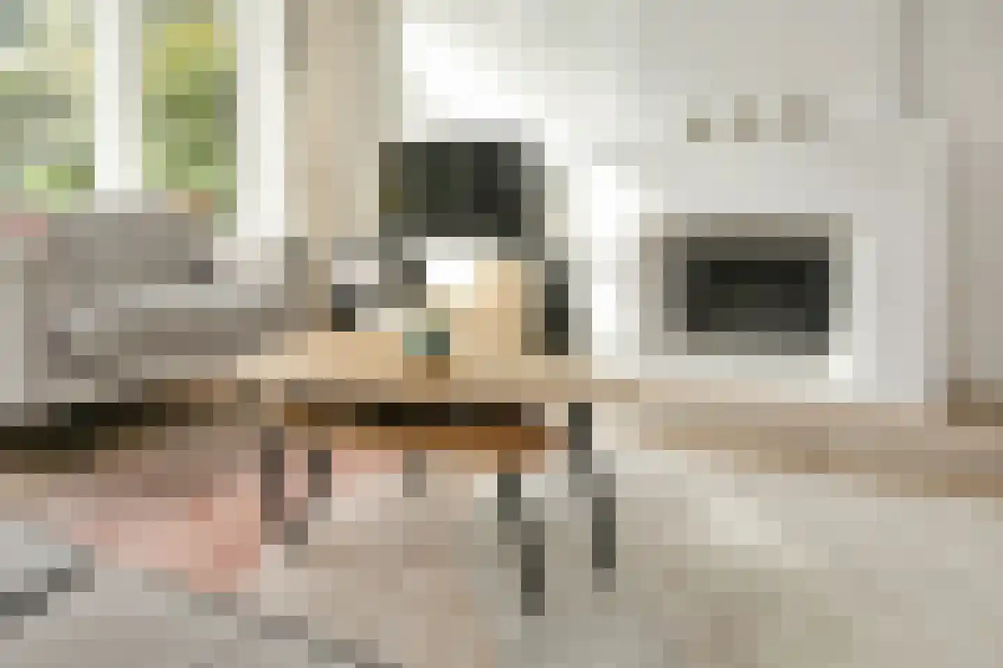 Julianalaan 291 Haarlem thumbnail 12