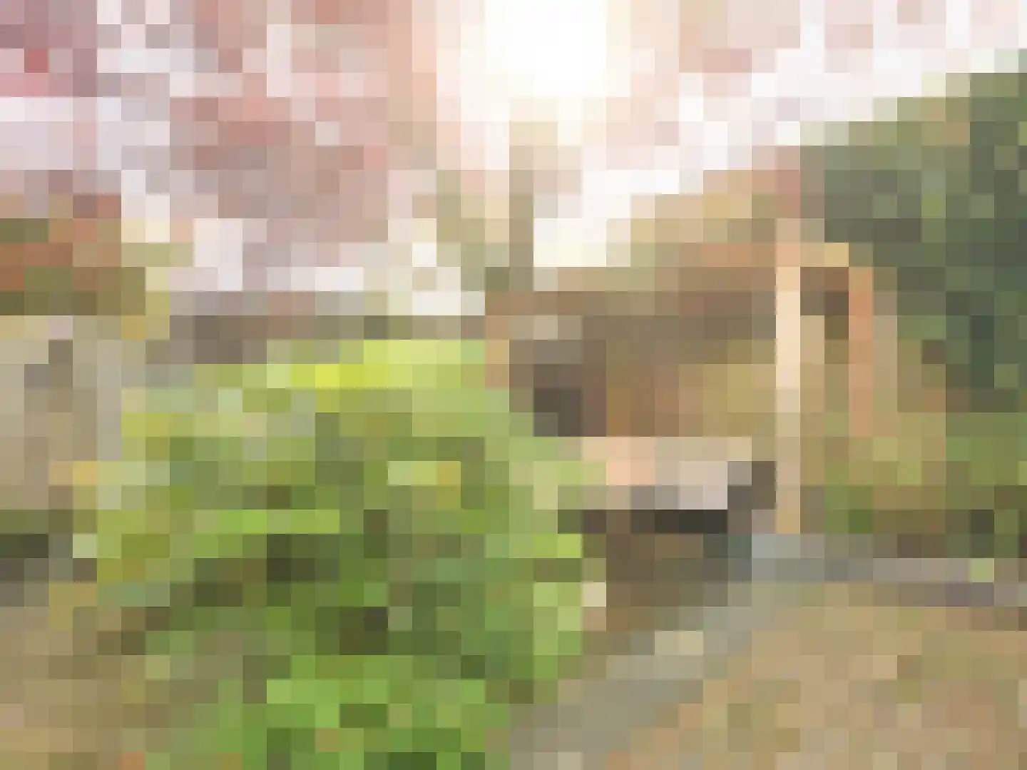 Julianalaan 291 Haarlem thumbnail 39