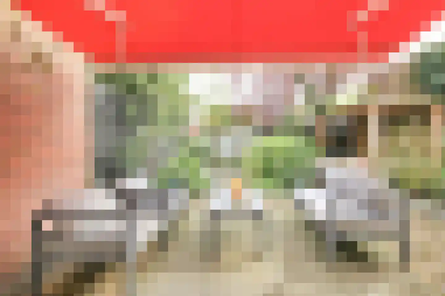 Julianalaan 291 Haarlem thumbnail 41