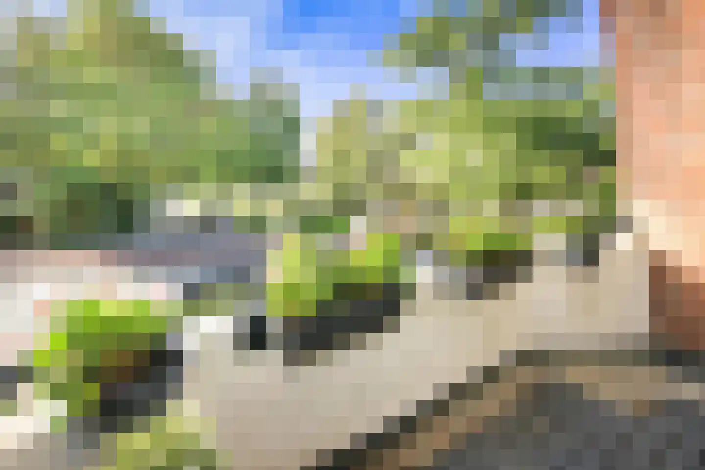 Julianalaan 291 Haarlem thumbnail 51