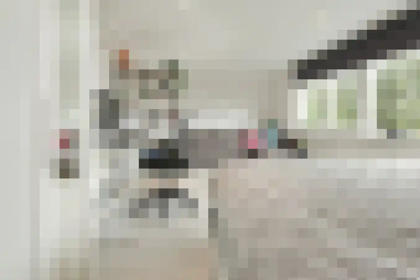 Julianalaan 291 Haarlem thumbnail 64