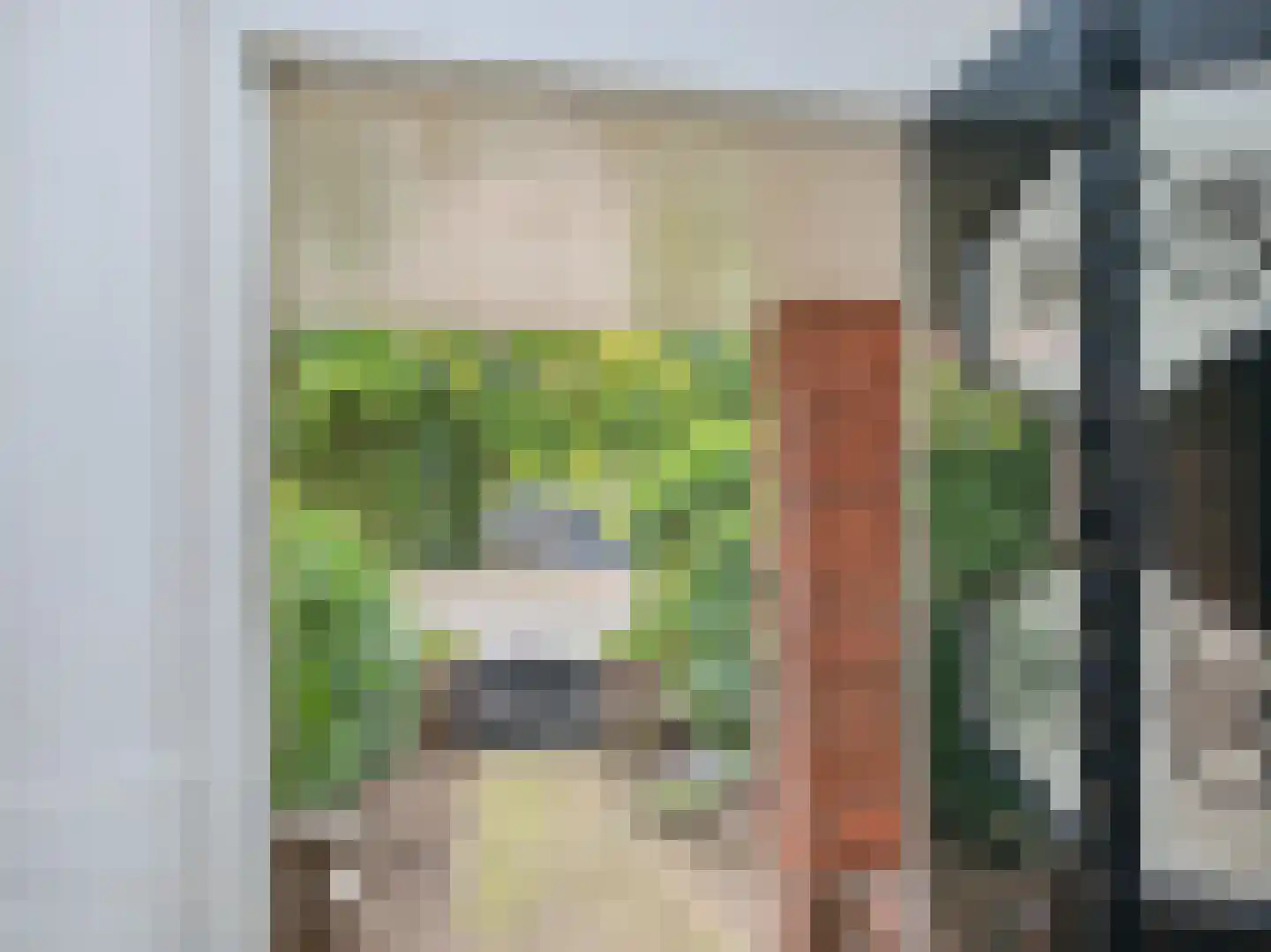 Julianalaan 291 Haarlem thumbnail 8