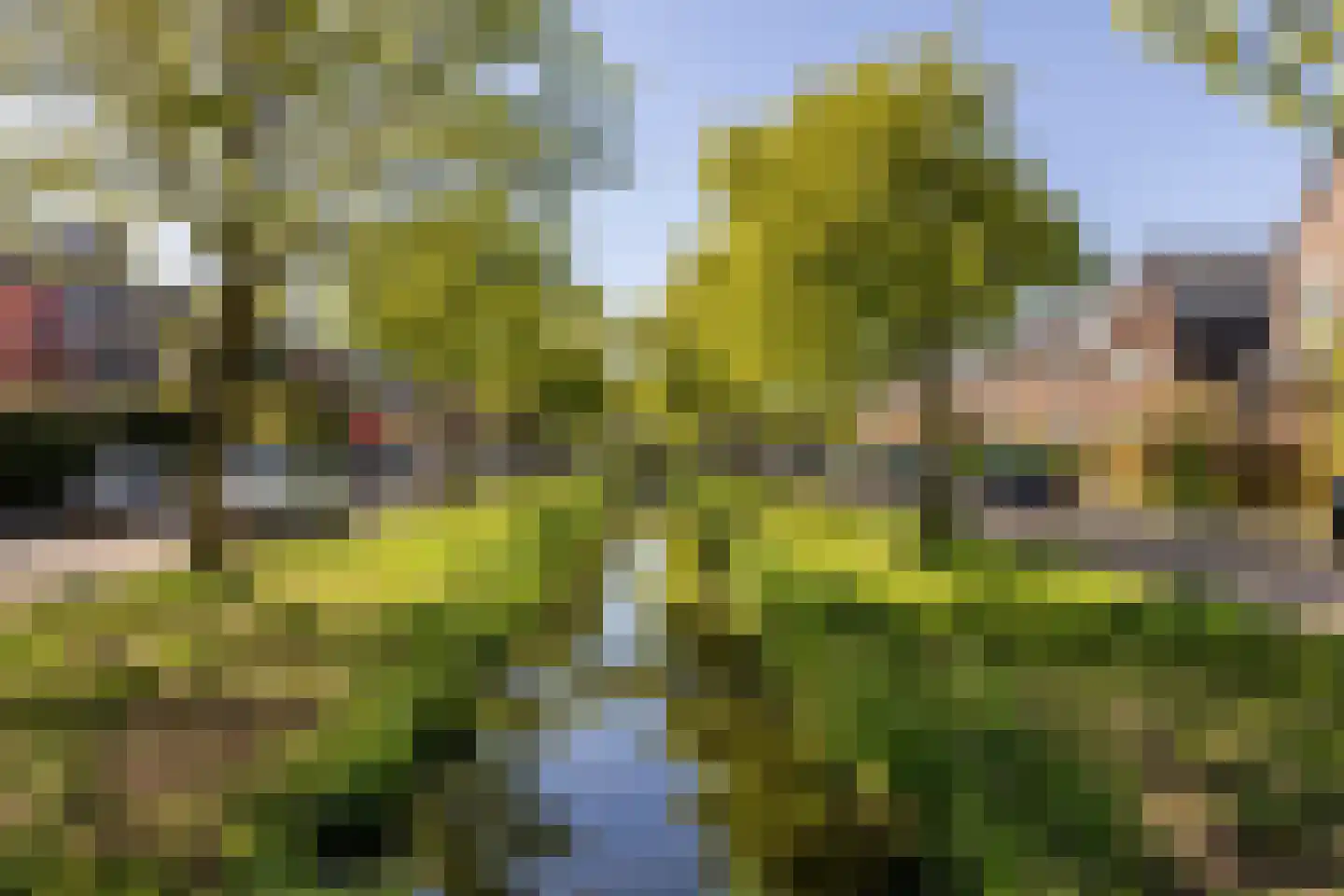 Julianalaan 297 C Haarlem thumbnail 29