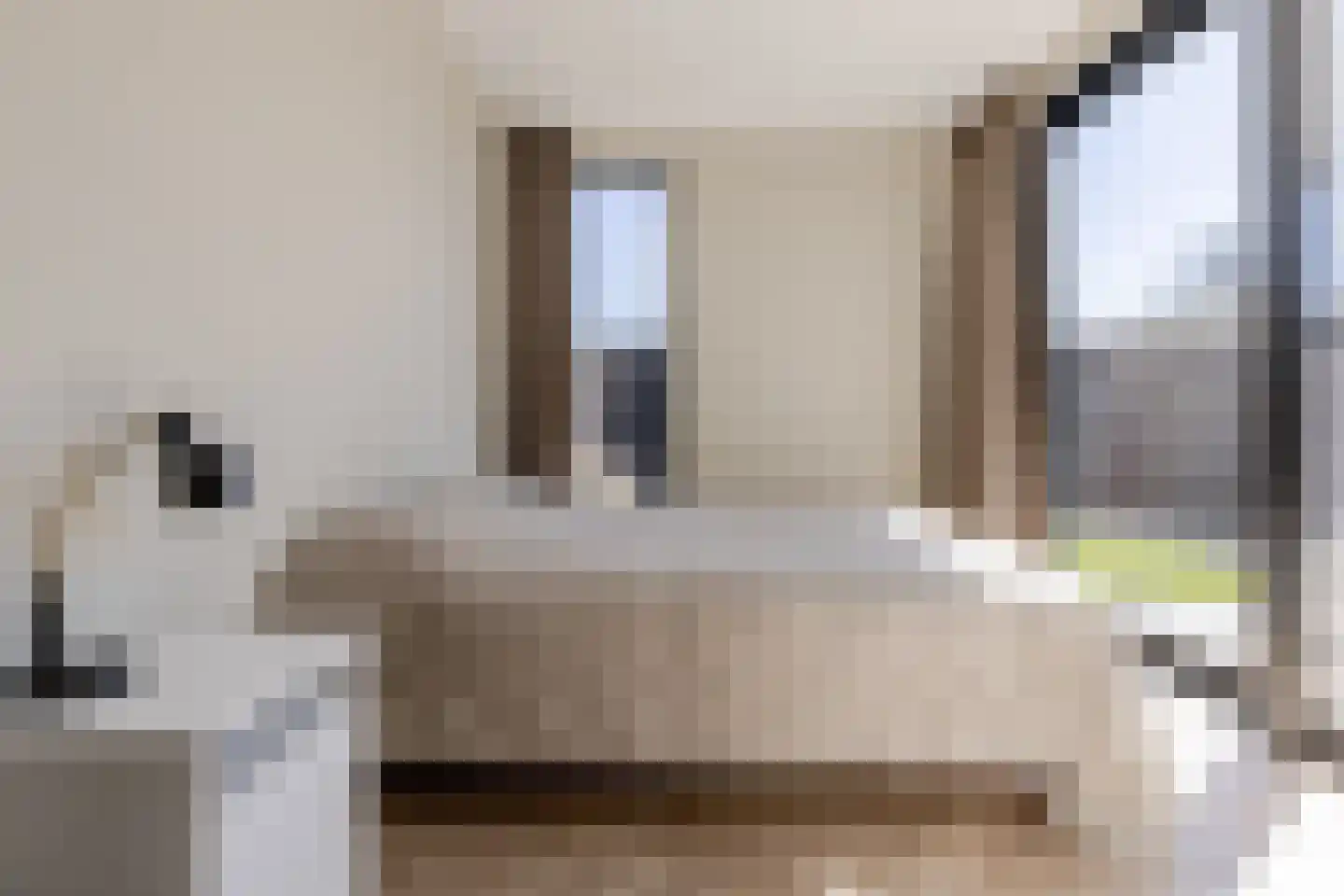 Julianalaan 297 Haarlem thumbnail 15