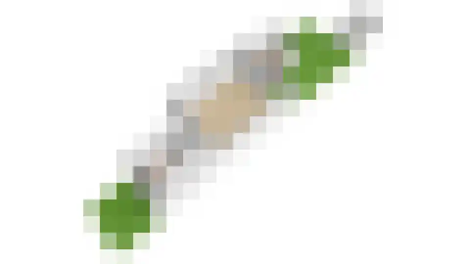 Julianalaan 297 Haarlem thumbnail 32