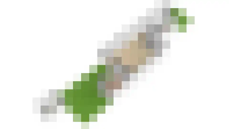 Julianalaan 297 Haarlem thumbnail 33