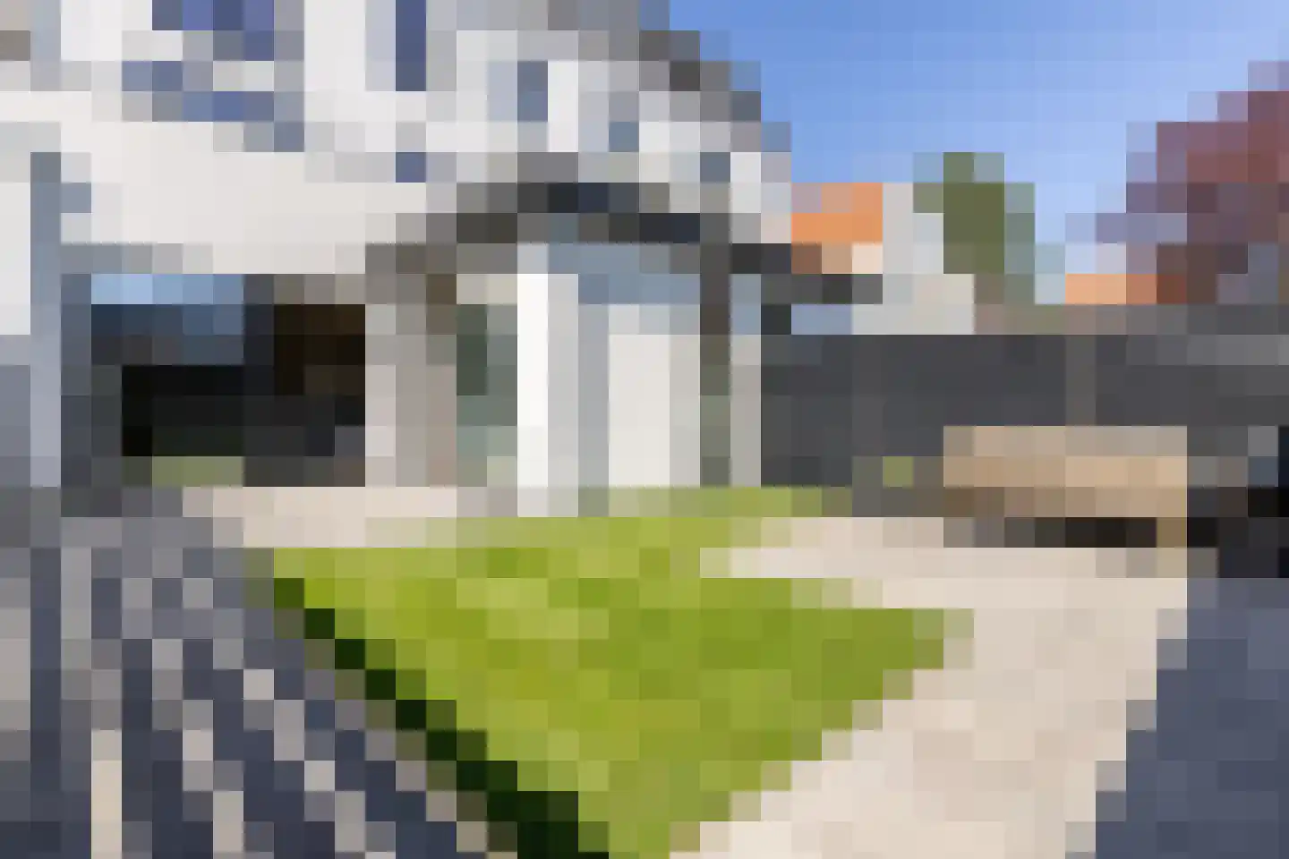 Julianalaan 297 Haarlem thumbnail 4