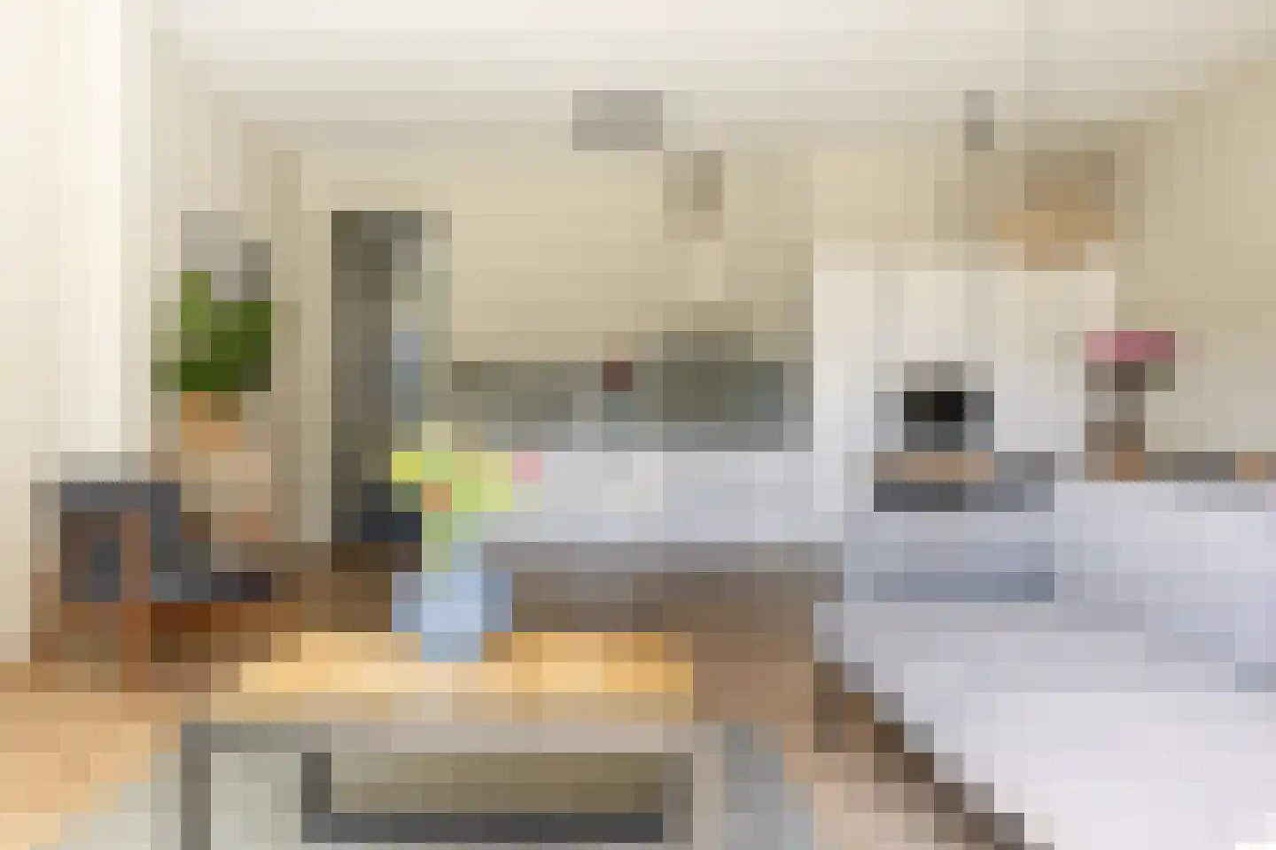 Julianalaan 297 Haarlem thumbnail 8