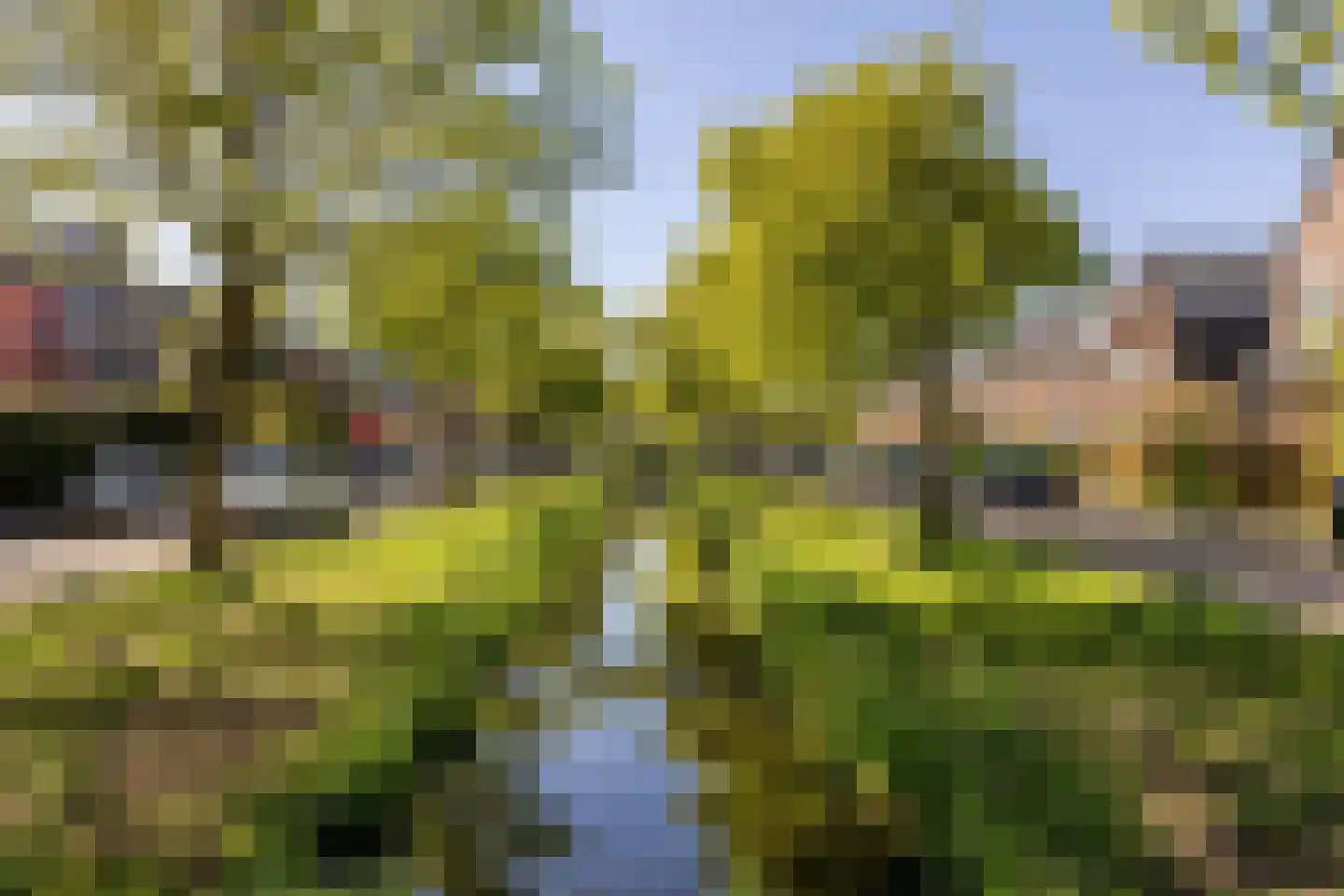 Julianalaan 299 Haarlem thumbnail 22