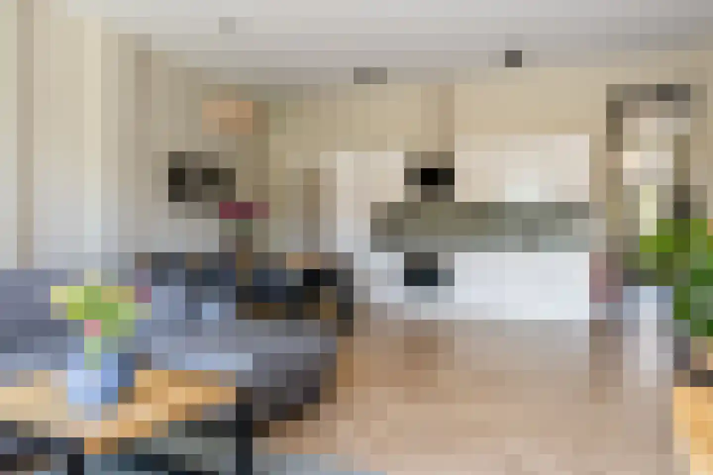 Julianalaan 299 Haarlem thumbnail 9
