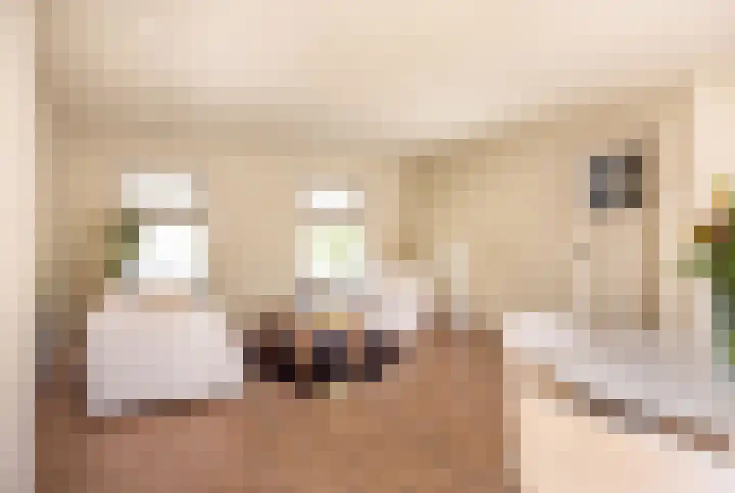Julianalaan 3 I Hengelo thumbnail 13