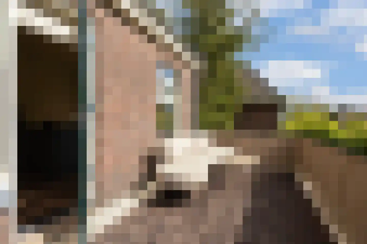 Julianalaan 3 I Hengelo thumbnail 19
