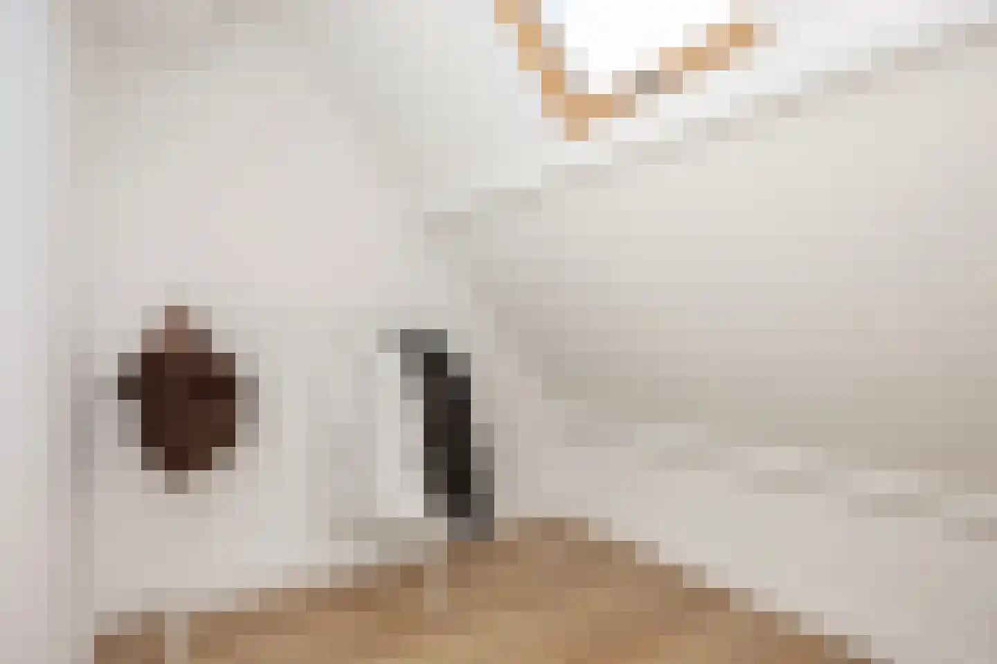 Julianalaan 3 I Hengelo thumbnail 26