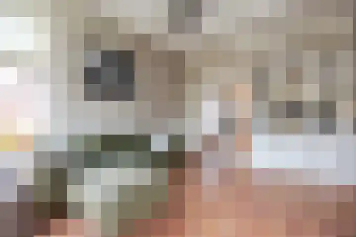 Julianalaan 3 Leens thumbnail 12