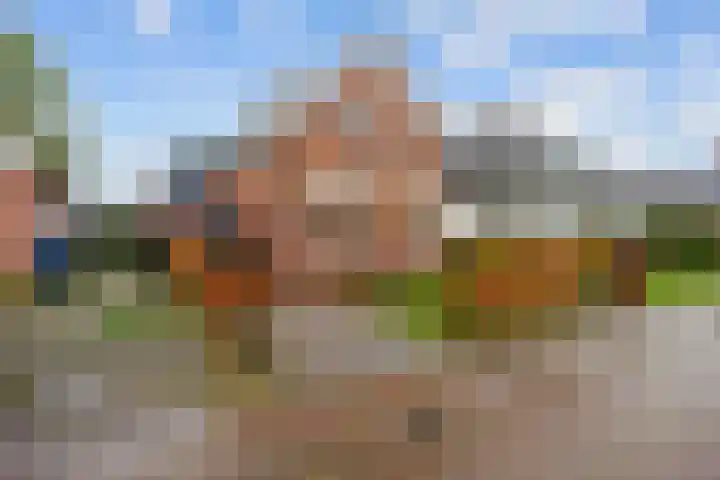 Julianalaan 3 Leens foto 2