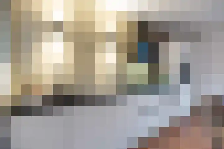 Julianalaan 3 Leens thumbnail 20