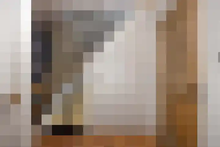 Julianalaan 3 Leens thumbnail 23