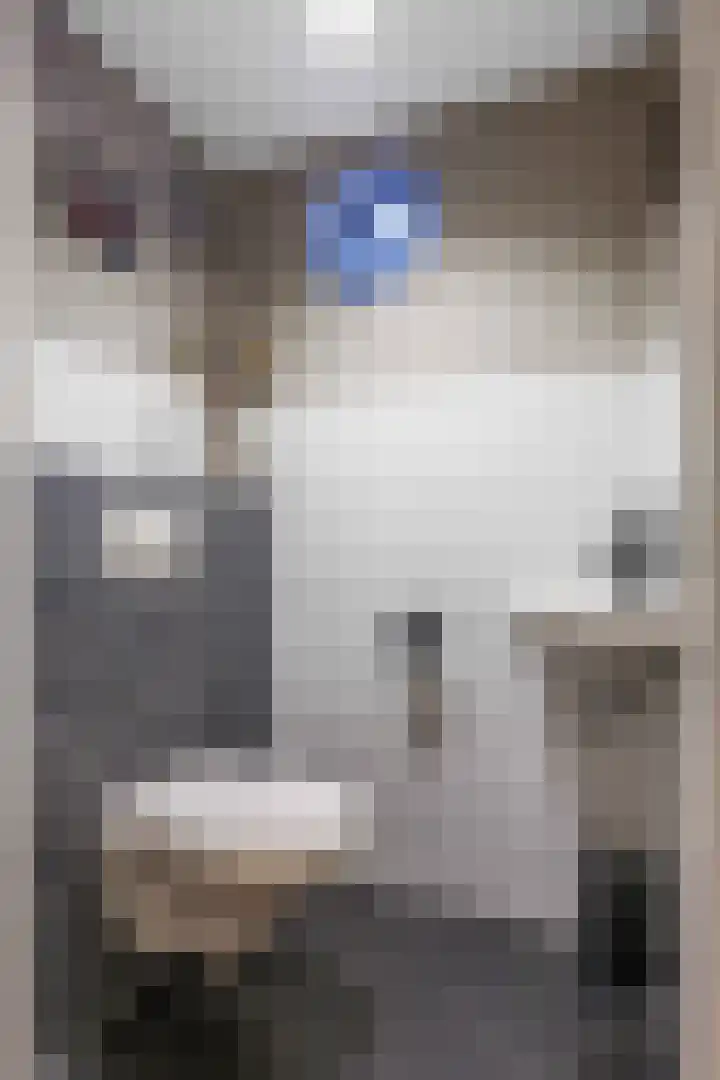 Julianalaan 3 Leens thumbnail 26