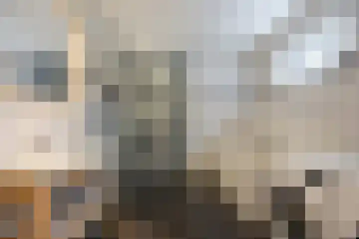 Julianalaan 3 Leens thumbnail 27