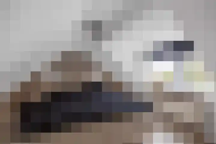 Julianalaan 3 Leens thumbnail 31