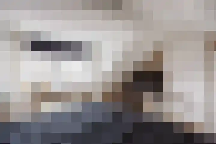 Julianalaan 3 Leens thumbnail 32