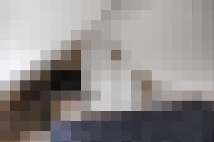 Julianalaan 3 Leens thumbnail 33
