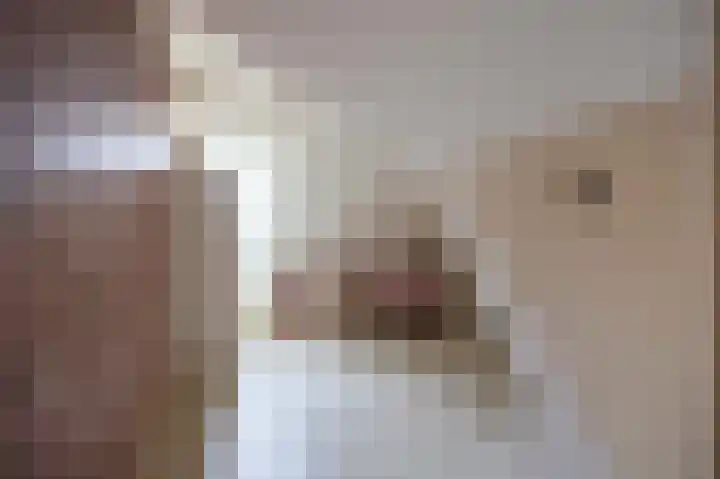 Julianalaan 3 Leens thumbnail 34