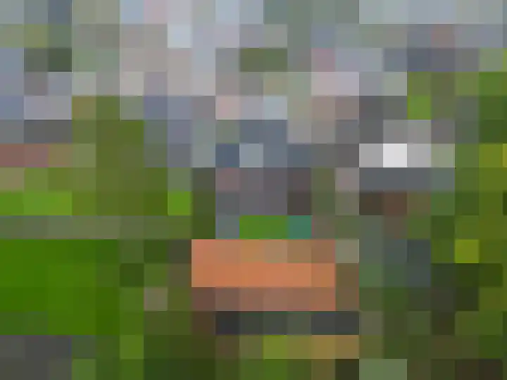 Julianalaan 3 Leens thumbnail 6