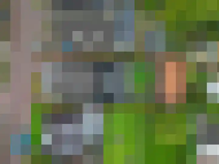Julianalaan 3 Leens thumbnail 7