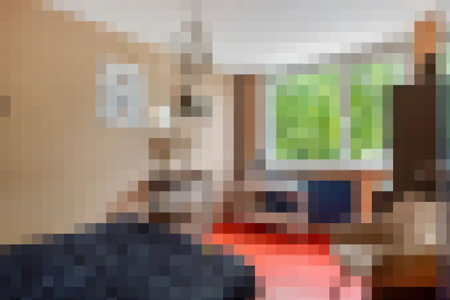 Julianalaan 3 Zwartewaal thumbnail 13