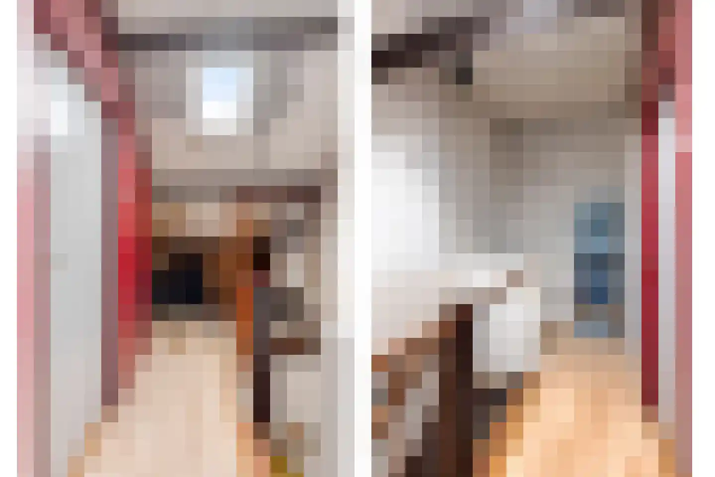 Julianalaan 3 Zwartewaal thumbnail 18
