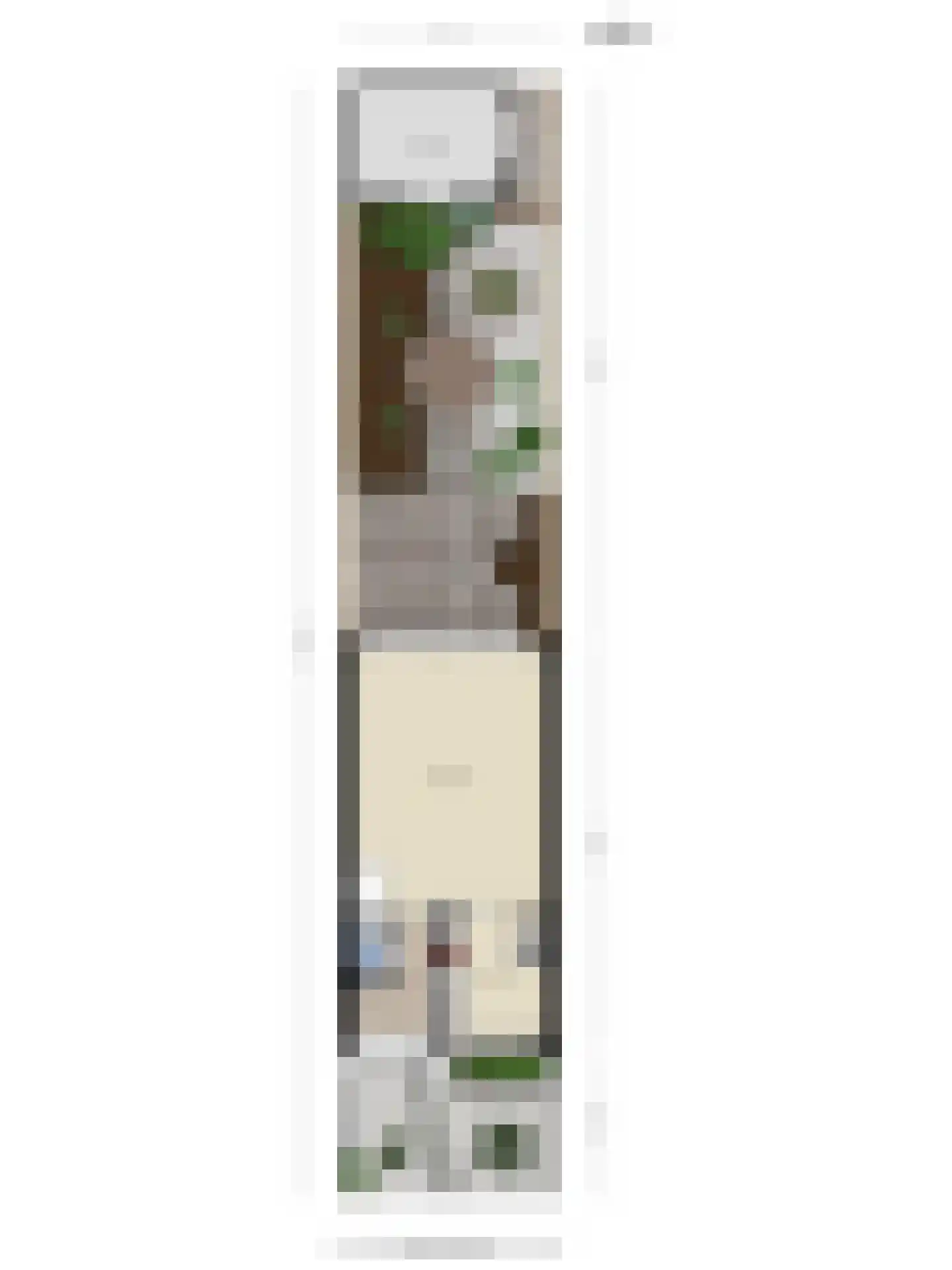 Julianalaan 3 Zwartewaal thumbnail 31