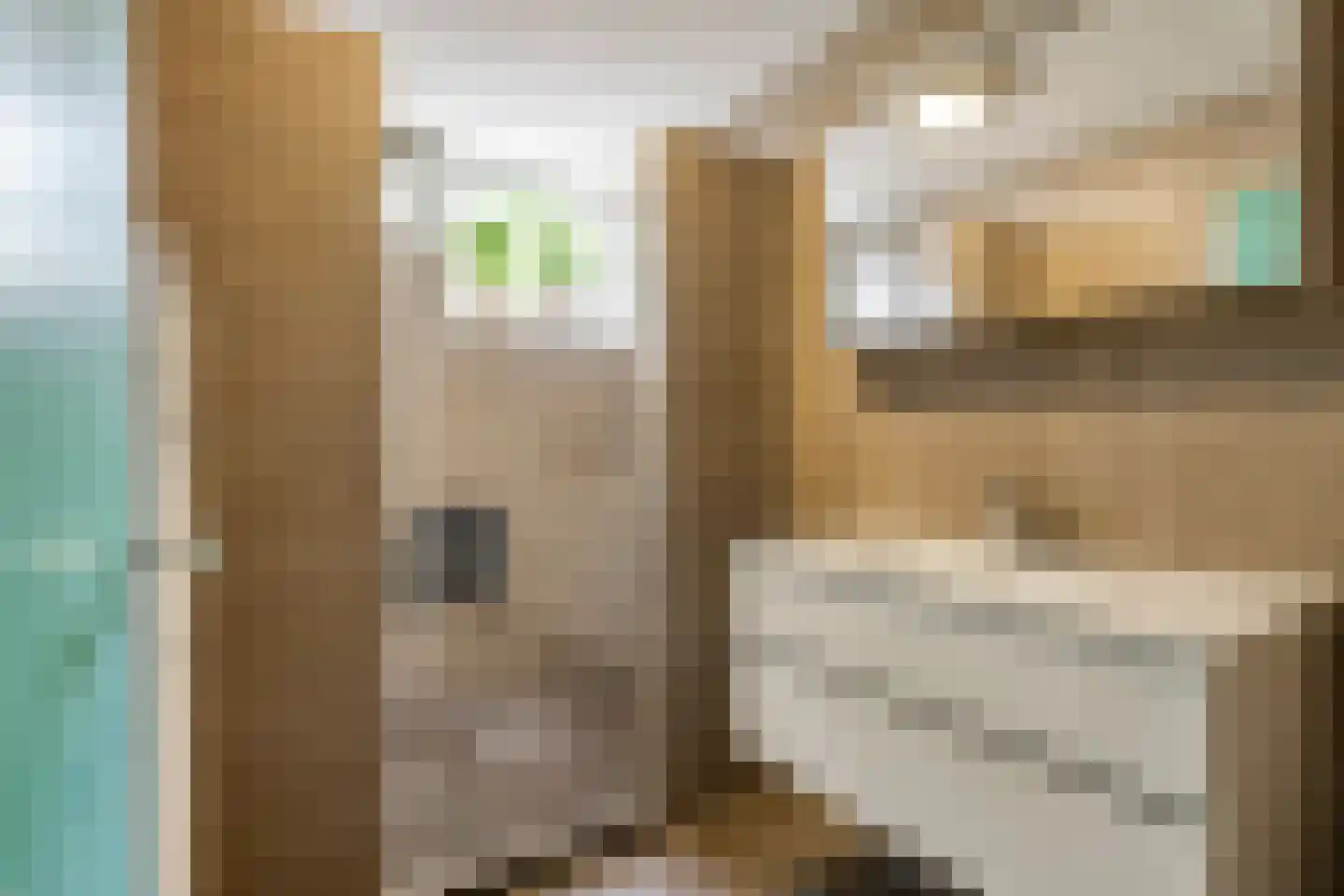 Julianalaan 3 Zwartewaal thumbnail 4