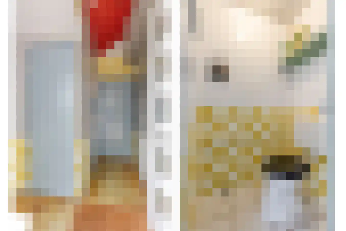 Julianalaan 3 Zwartewaal thumbnail 7