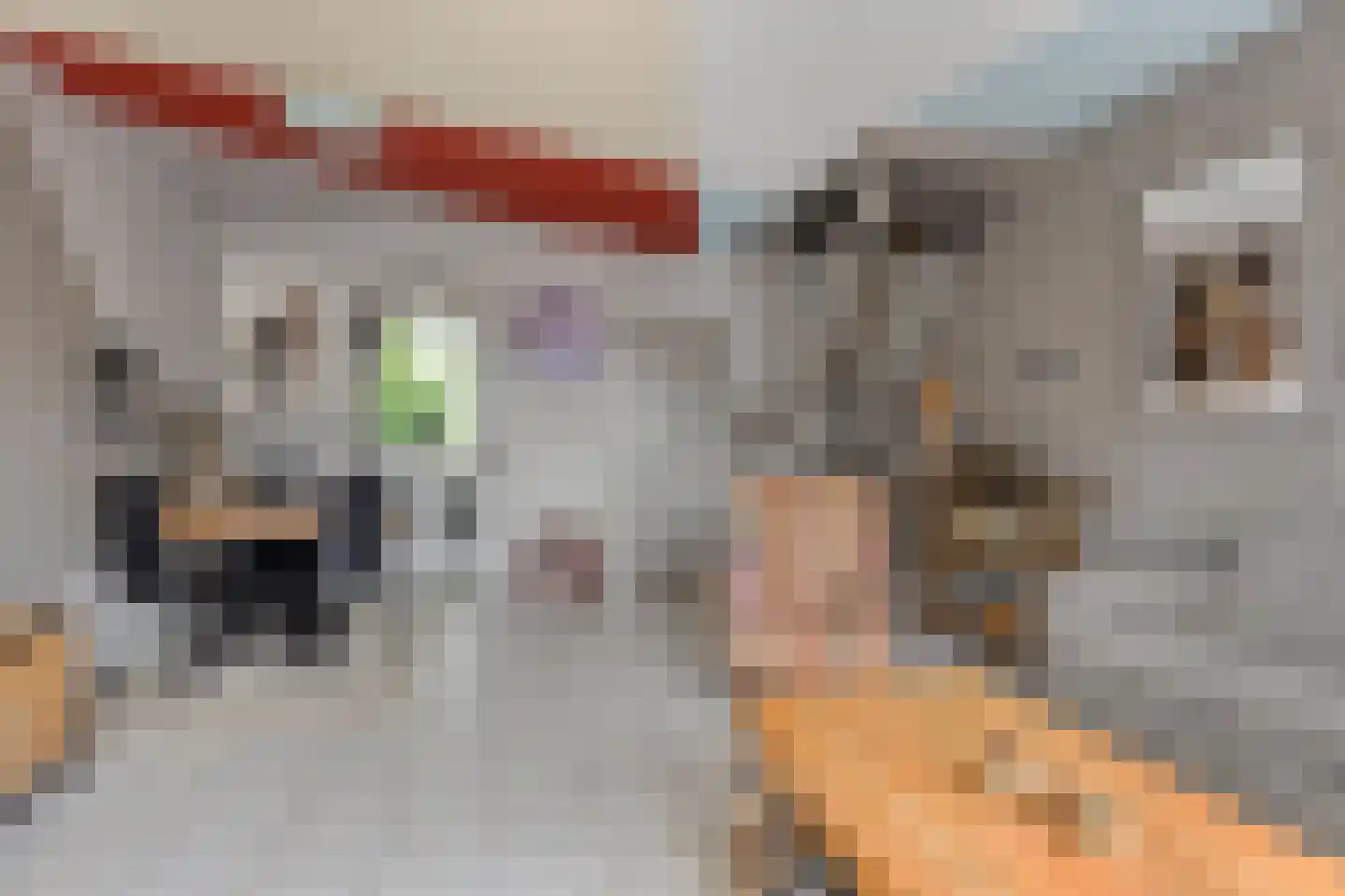 Julianalaan 3 Zwartewaal thumbnail 8