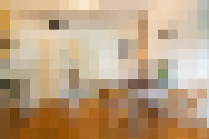 Julianalaan 30 Delft thumbnail 12