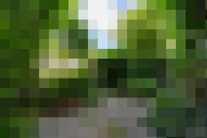 Julianalaan 30 Delft thumbnail 14