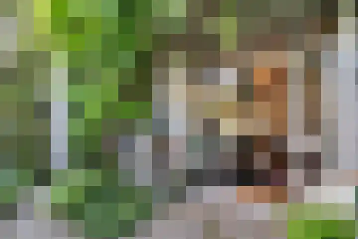 Julianalaan 30 Delft thumbnail 15