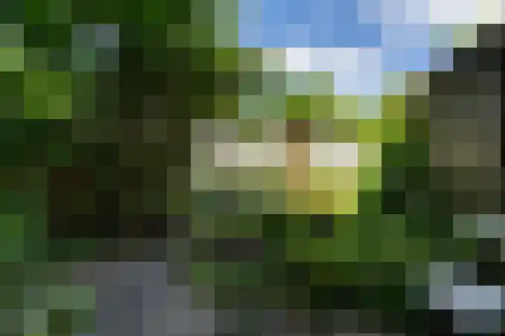 Julianalaan 30 Delft thumbnail 16