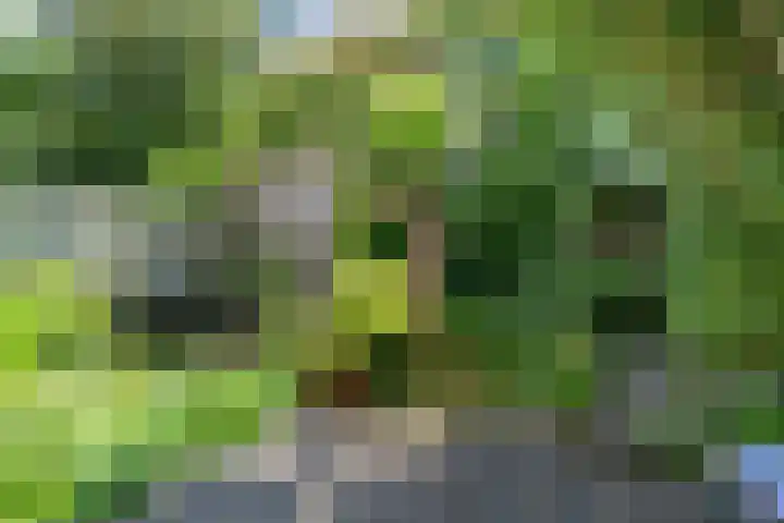 Julianalaan 30 Delft thumbnail 18