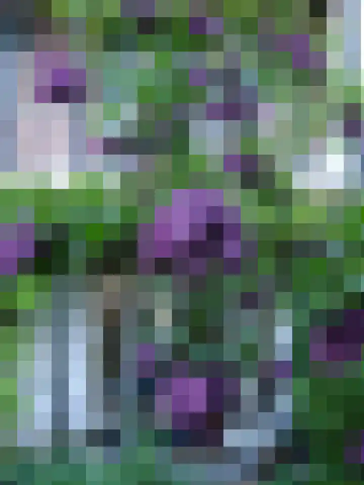 Julianalaan 30 Delft thumbnail 19
